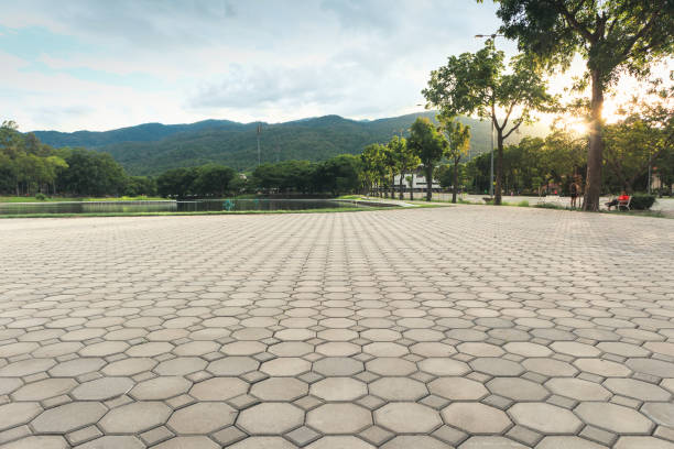 Best Interlocking Driveway Pavers  in Diablo Grande, CA